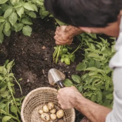 Fiskars Plantenschep -Tuingereedschap 123 1804