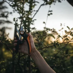 Fiskars Snoeischaar P721 -Tuingereedschap 123 2018