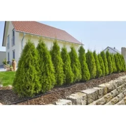 Gardena Micro Drip Startset M Voor Rijplanten (excl Timer) 6 Gardena Micro Drip Startset M Voor Rijplanten (excl Timer) -Tuingereedschap 123 3411