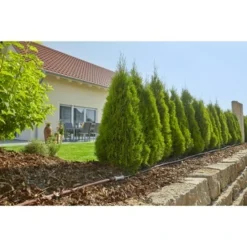 Gardena Micro Drip Startset M Voor Rijplanten (excl Timer) 7 Gardena Micro Drip Startset M Voor Rijplanten (excl Timer) -Tuingereedschap 123 3412