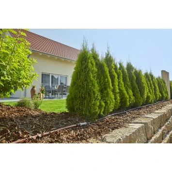 Gardena Micro Drip Startset M Voor Rijplanten (excl Timer) 4 Gardena Micro Drip Startset M Voor Rijplanten (excl Timer) - Afbeelding 4