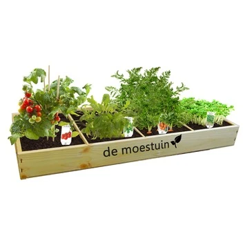 Moestuin Groenten: Mini Tomaten, Rucola, Parijse Worteltjes En Tuinkers 2 Moestuin Groenten: Mini Tomaten, Rucola, Parijse Worteltjes En Tuinkers - Afbeelding 2