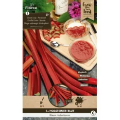 Vergeten Groentenpakket -Tuingereedschap 123 4197