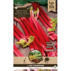 Vergeten Groentenpakket -Tuingereedschap 123 4198