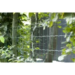 Betafence Pantanet Tuingaas Family 203 Cmx25 M Groen 11 Betafence Pantanet Tuingaas Family 203 Cmx25 M Groen -Tuingereedschap 123 4528