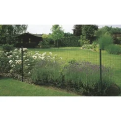 Betafence Pantanet Tuingaas Family 183 Cmx25 M Groen -Tuingereedschap 123 4554