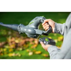 LUX 20V Accu Bladblazer (zonder Accu) 11 LUX 20V Accu Bladblazer (zonder Accu) -Tuingereedschap 123 5