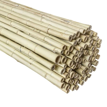 Bamboe Schutting Naturel Ca. 180x180 Cm 3 Bamboe Schutting Naturel Ca. 180x180 Cm - Afbeelding 3