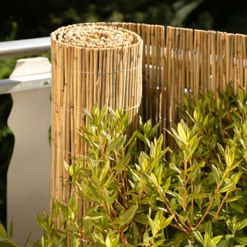 Balkonscherm Riet Ca. 90x300 Cm 2 Balkonscherm Riet Ca. 90x300 Cm - Afbeelding 2