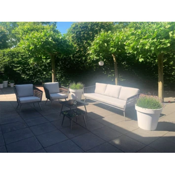 Lacq Tuintextiel Beschermer 500 Ml 4 Lacq Tuintextiel Beschermer 500 Ml - Afbeelding 4