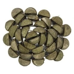 Borderrol Met Uitspoeldoek Ca. 180x20 Cm -Tuingereedschap 123 6705